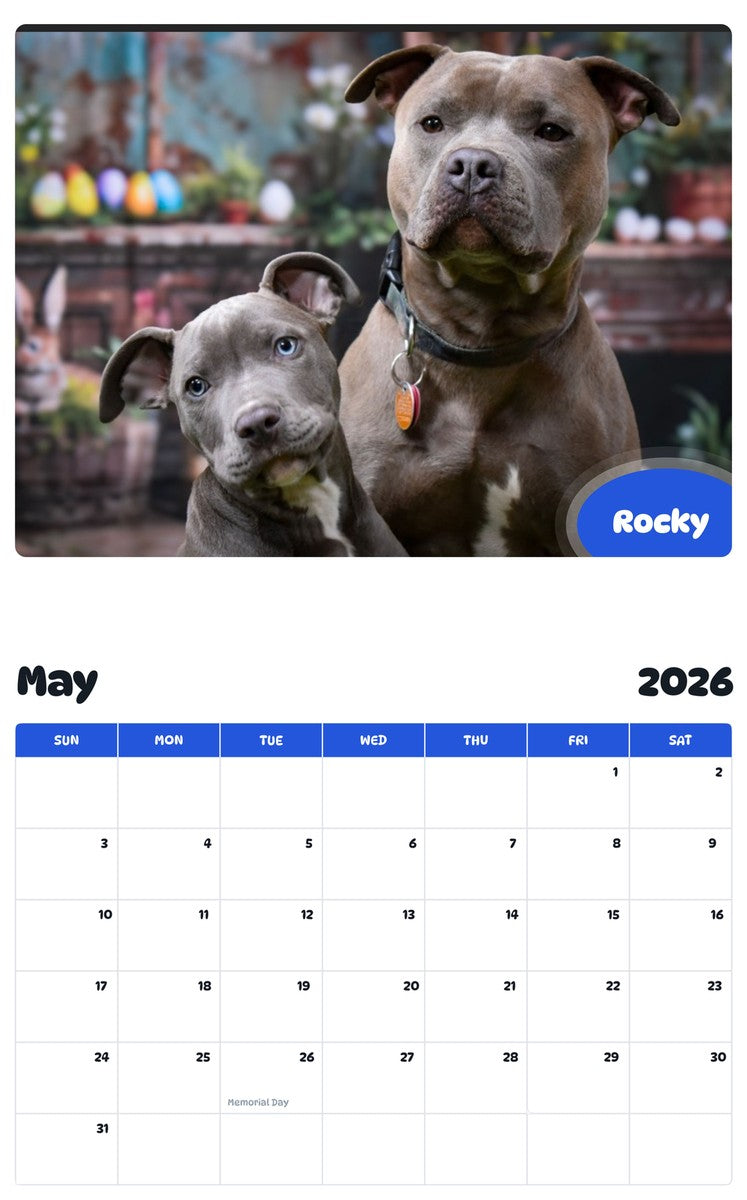 2026 - 2027 Rocky - Pawidols Pet Calendar