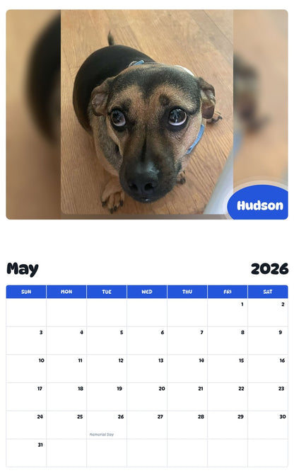 2026 - 2027 Hudson - Pawidols Pet Calendar