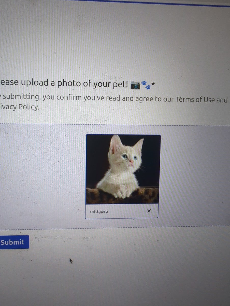 July 2025 - June 2026 Hh - Pawidols Pet Calendar
