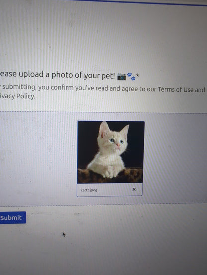 July 2025 - June 2026 Hh - Pawidols Pet Calendar
