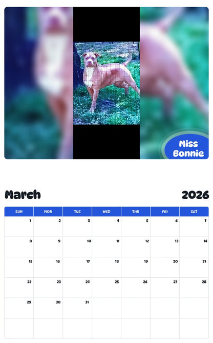 November 2025 - October 2026 Miss Bonnie - Pawidols Pet Calendar