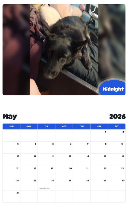 2026 - 2027 Midnight - Pawidols Pet Calendar