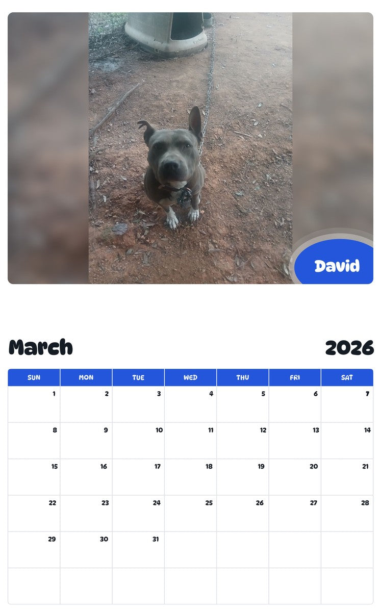 November 2025 - October 2026 David - Pawidols Pet Calendar