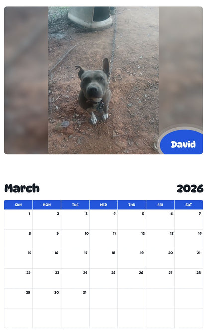 November 2025 - October 2026 David - Pawidols Pet Calendar