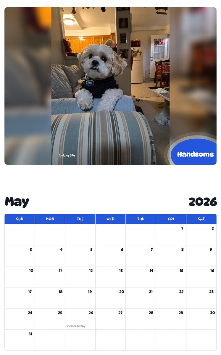 2026 - 2027 Handsome - Pawidols Pet Calendar
