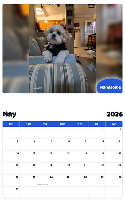 2026 - 2027 Handsome - Pawidols Pet Calendar