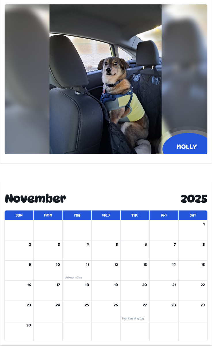 July 2025 - June 2026 Molly - Pawidols Pet Calendar