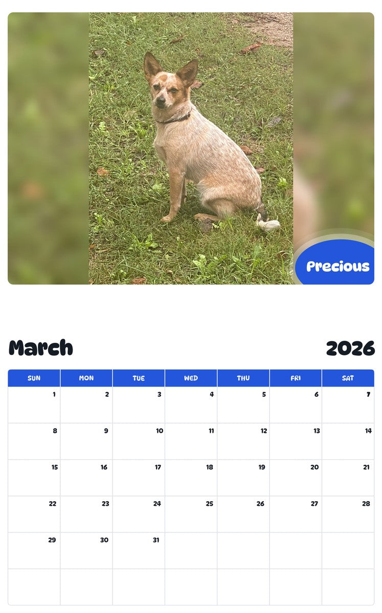 November 2025 - October 2026 Precious - Pawidols Pet Calendar