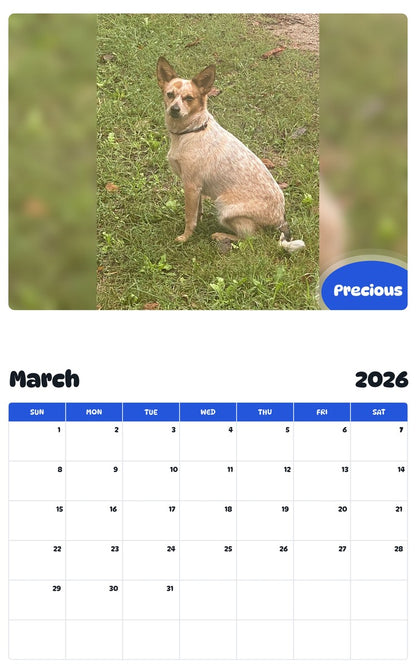 November 2025 - October 2026 Precious - Pawidols Pet Calendar