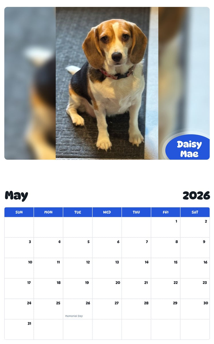 2026 - 2027 Daisy Mae - Pawidols Pet Calendar