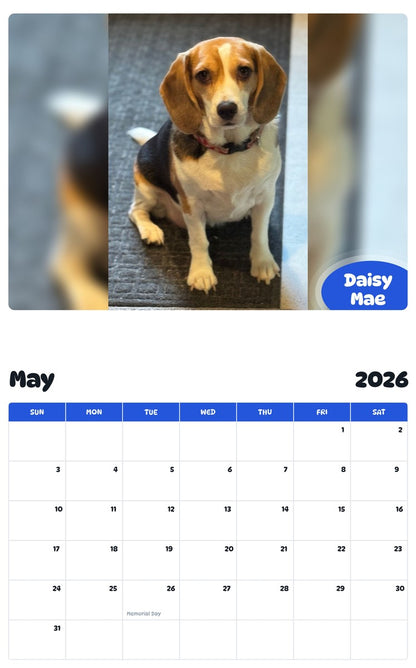 2026 - 2027 Daisy Mae - Pawidols Pet Calendar