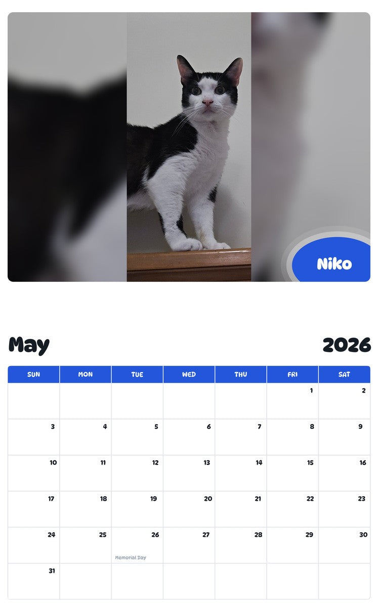 2026 - 2027 Niko - Pawidols Pet Calendar