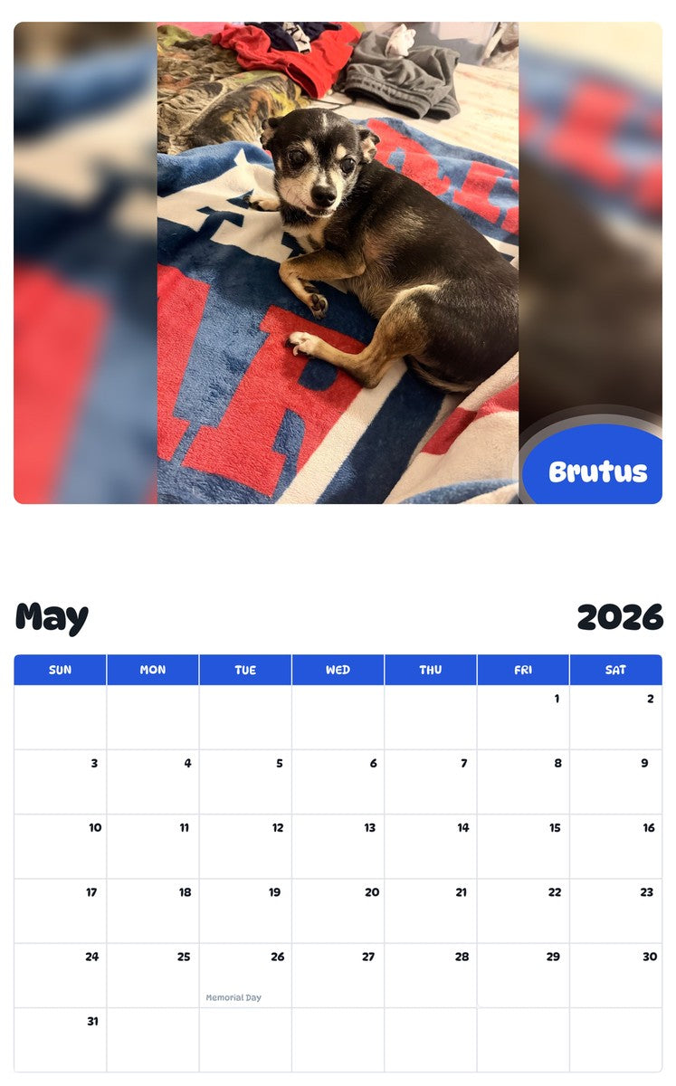 2026 - 2027 Brutus - Pawidols Pet Calendar