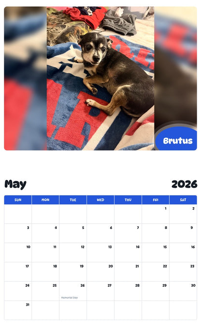 2026 - 2027 Brutus - Pawidols Pet Calendar