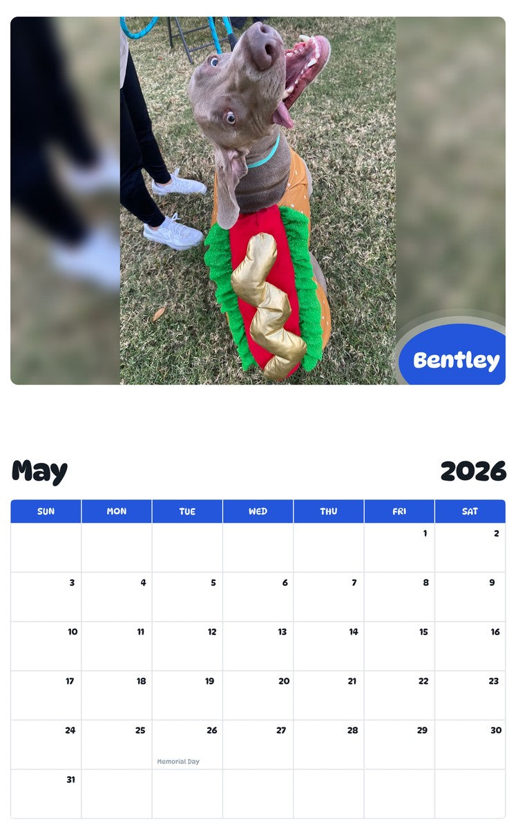 2026 - 2027 Bentley - Pawidols Pet Calendar