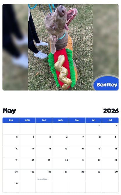 2026 - 2027 Bentley - Pawidols Pet Calendar