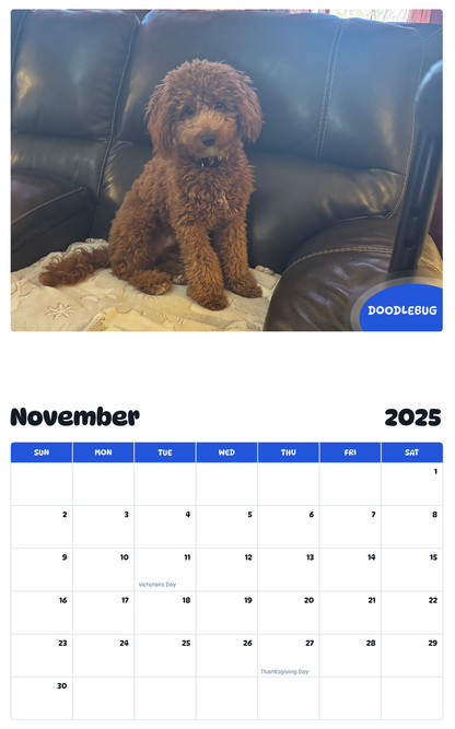 July 2025 - June 2026 Doodlebug - Pawidols Pet Calendar