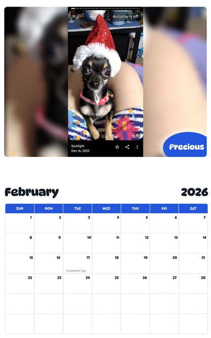 October 2025 - September 2026 Precious - Pawidols Pet Calendar