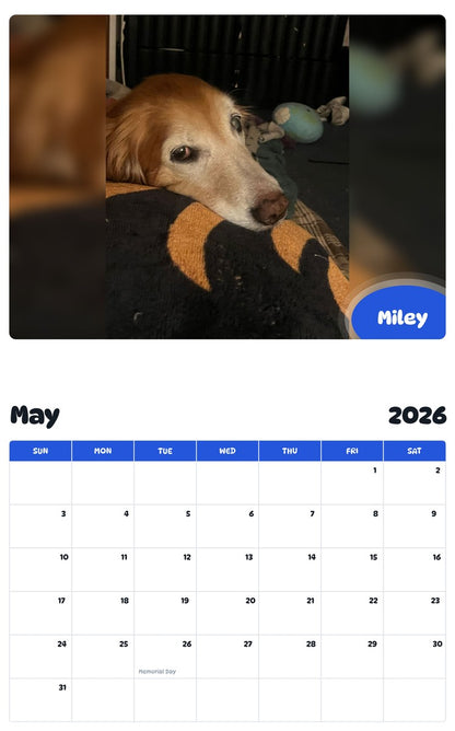 2026 - 2027 Miley - Pawidols Pet Calendar