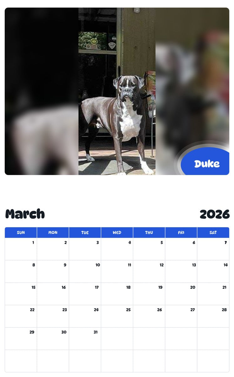 November 2025 - October 2026 Duke - Pawidols Pet Calendar