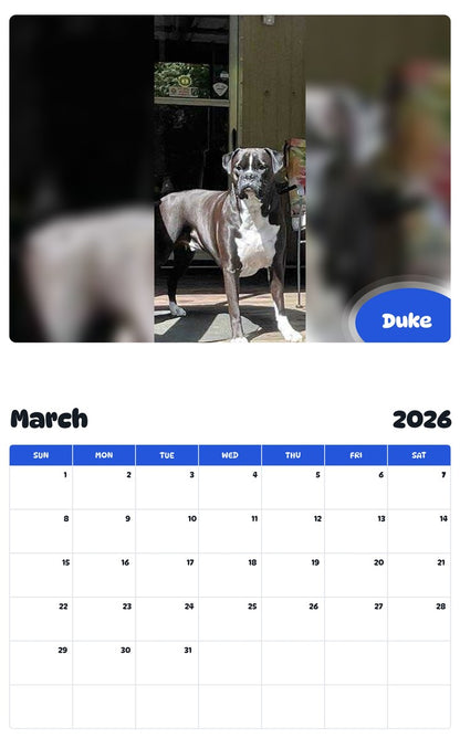 November 2025 - October 2026 Duke - Pawidols Pet Calendar