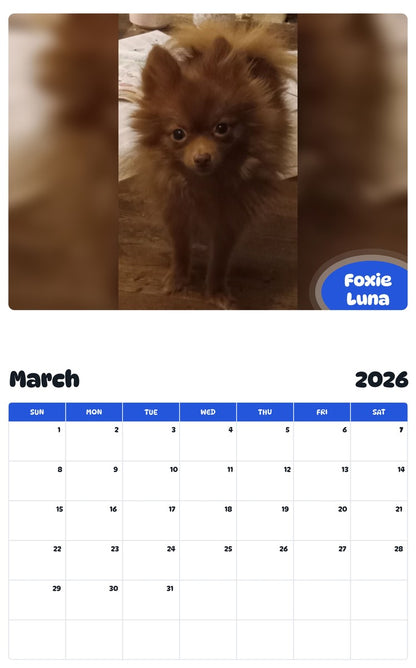November 2025 - October 2026 Foxie Luna - Pawidols Pet Calendar