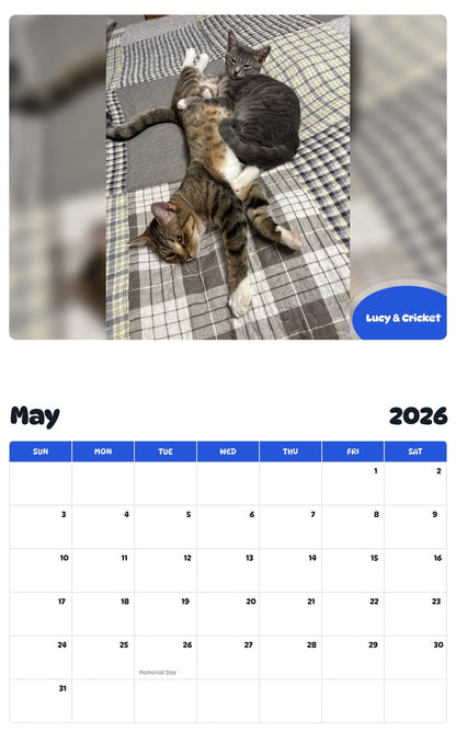 2026 - 2027 Lucy & Cricket - Pawidols Pet Calendar