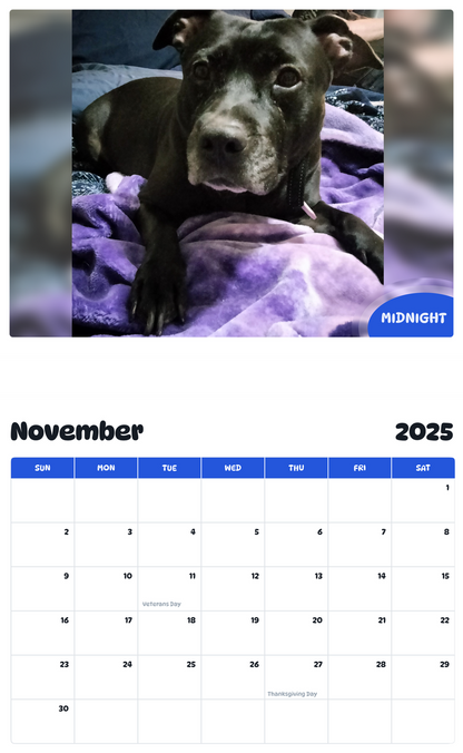 July 2025 - June 2026 Midnight - Pawidols Pet Calendar