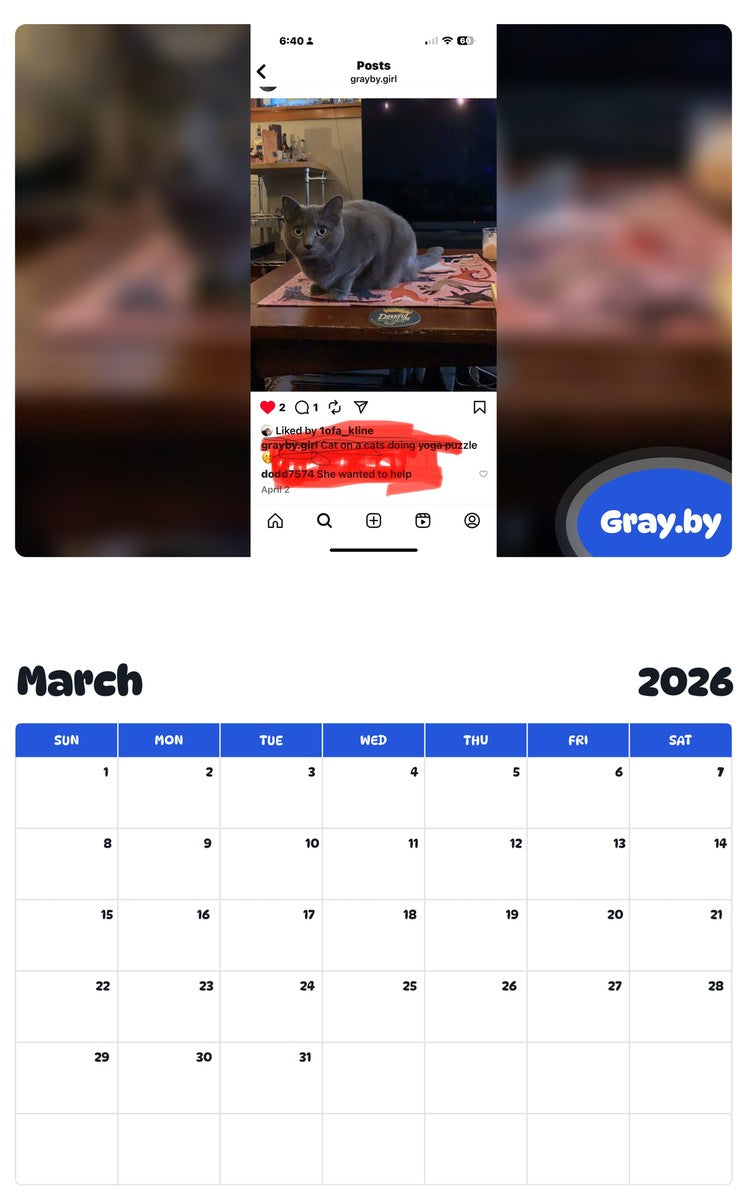 November 2025 - October 2026 Gray.by - Pawidols Pet Calendar