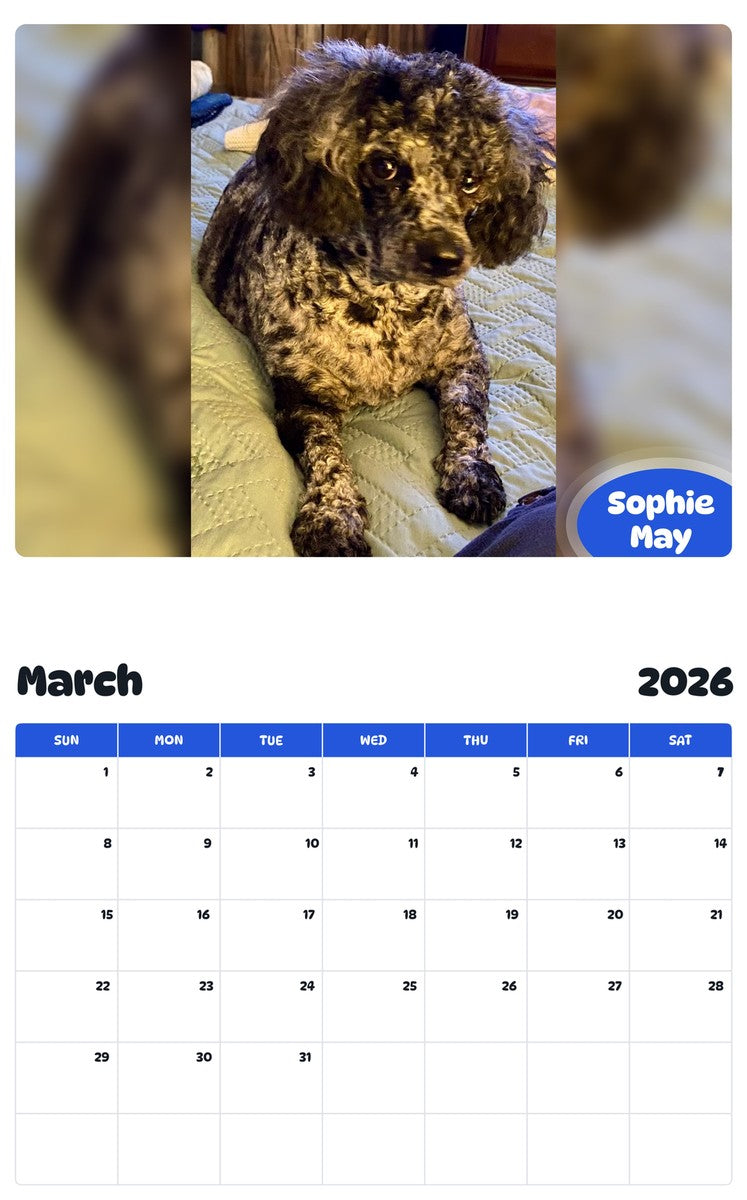 November 2025 - October 2026 Sophie May - Pawidols Pet Calendar