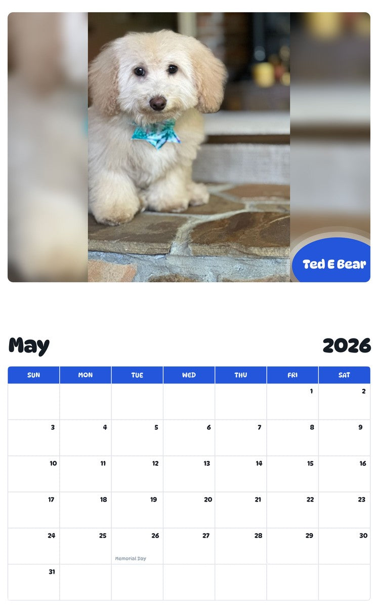 2026 - 2027 Ted E Bear - Pawidols Pet Calendar