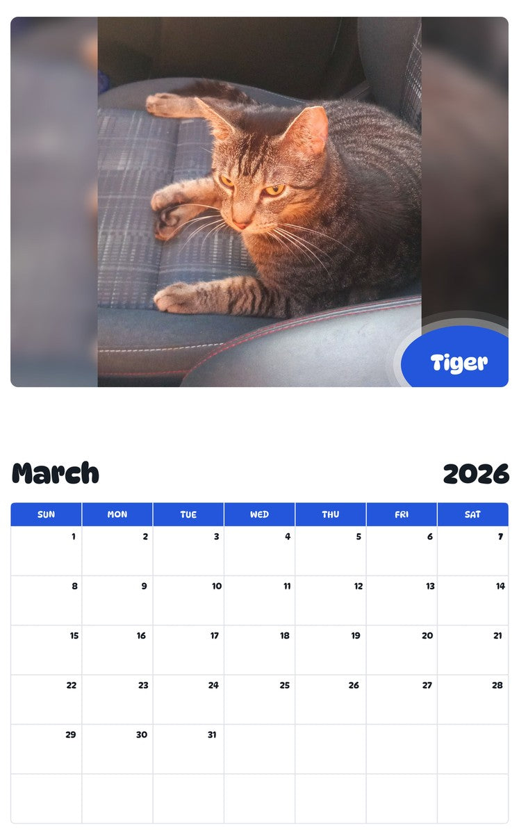 November 2025 - October 2026 Tiger - Pawidols Pet Calendar