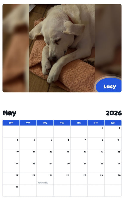2026 - 2027 Lucy - Pawidols Pet Calendar