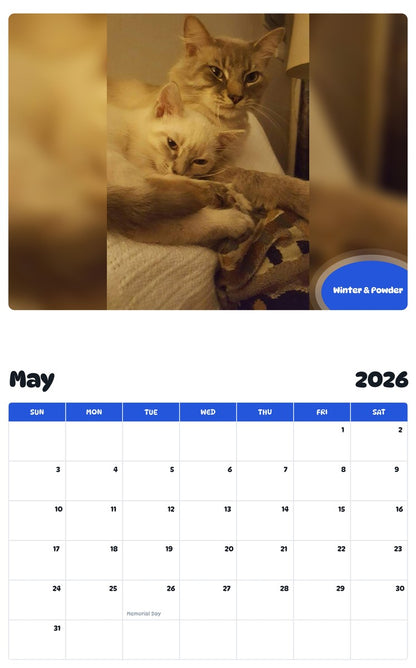 2026 - 2027 Winter & Powder - Pawidols Pet Calendar