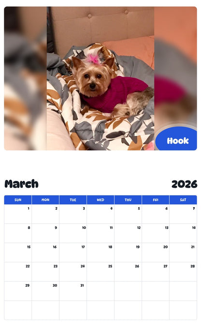 November 2025 - October 2026 Hook - Pawidols Pet Calendar