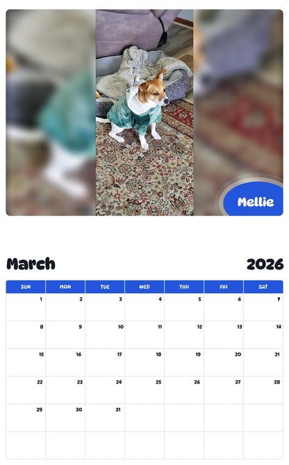 November 2025 - October 2026 Mellie - Pawidols Pet Calendar