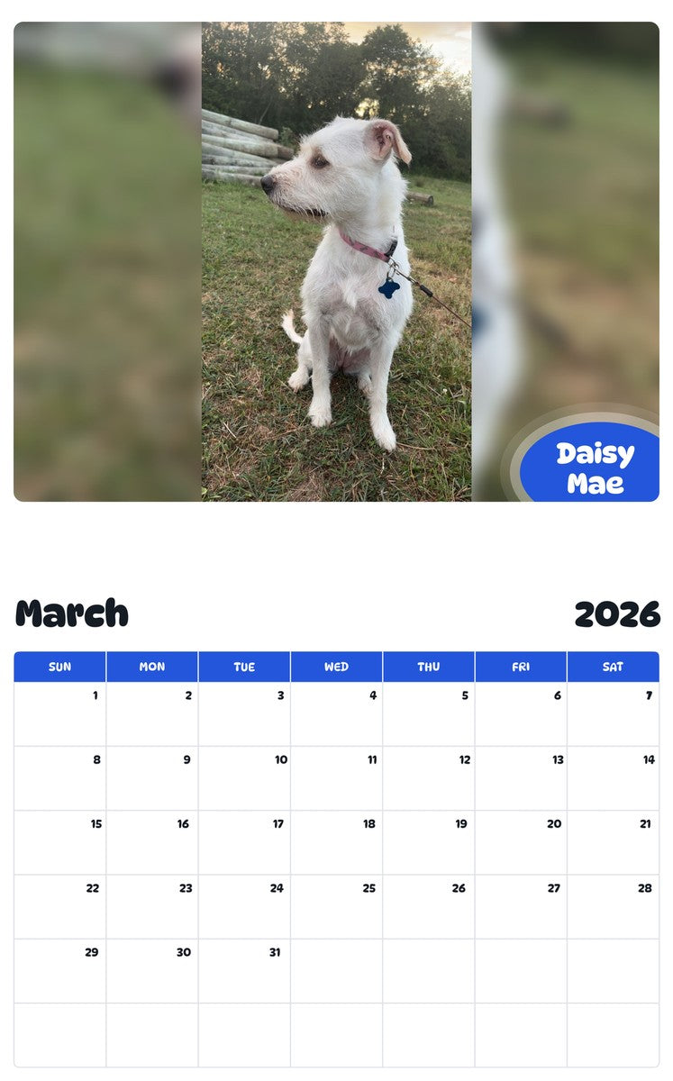 November 2025 - October 2026 Daisy Mae - Pawidols Pet Calendar