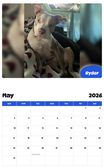 2026 - 2027 Ryder - Pawidols Pet Calendar