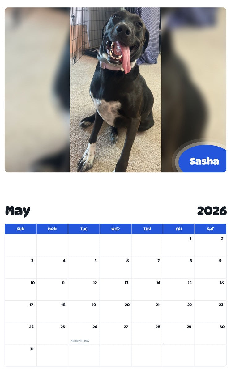 2026 - 2027 Sasha - Pawidols Pet Calendar