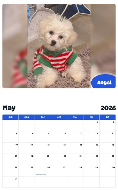 2026 - 2027 Angel - Pawidols Pet Calendar