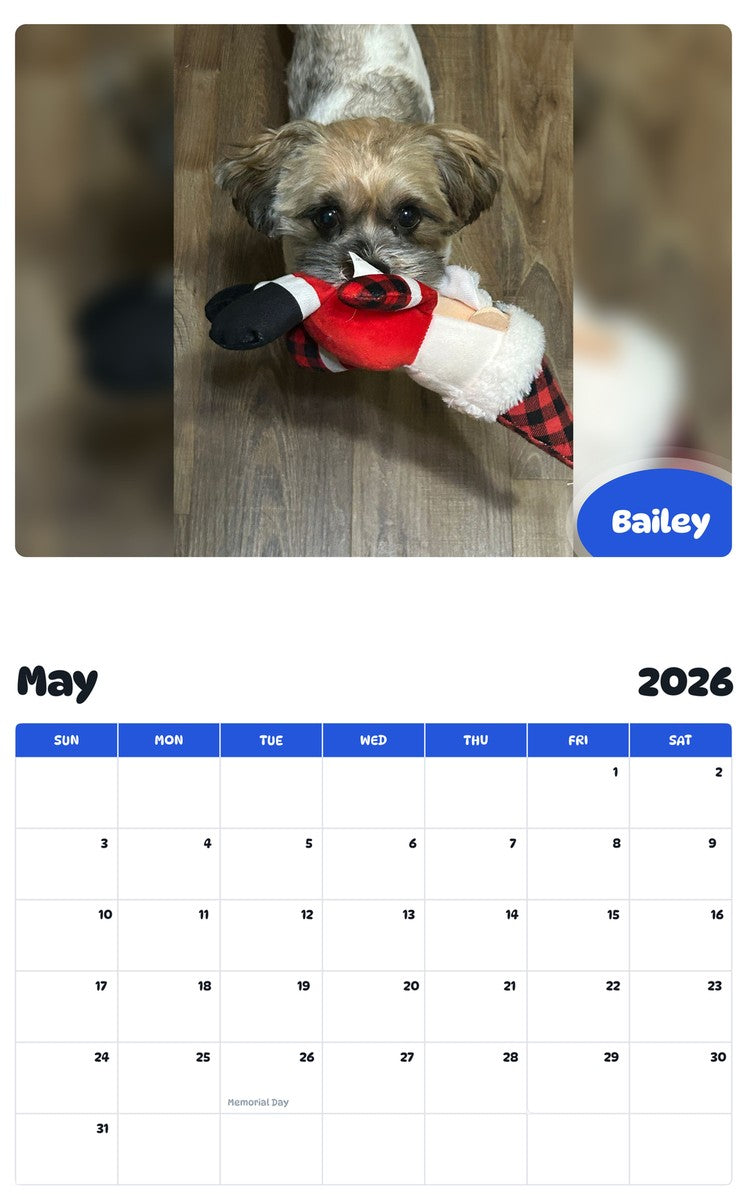 2026 - 2027 Bailey - Pawidols Pet Calendar