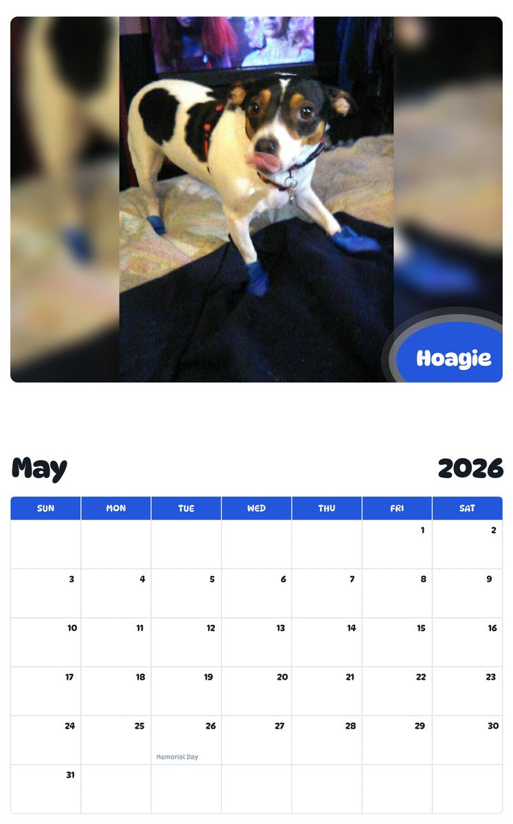 2026 - 2027 Hoagie - Pawidols Pet Calendar