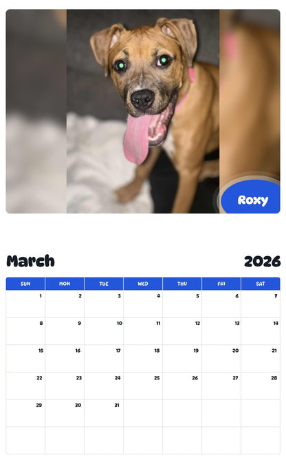 November 2025 - October 2026 Roxy - Pawidols Pet Calendar