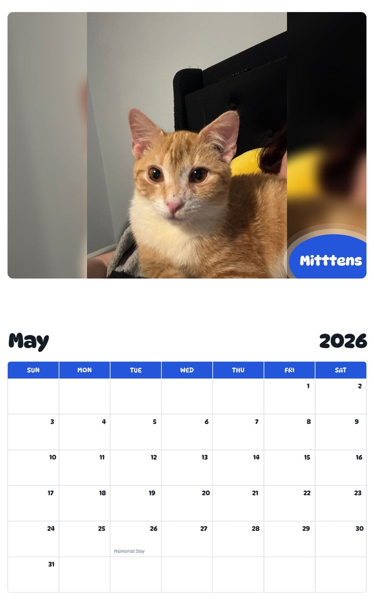 2026 - 2027 Mitttens - Pawidols Pet Calendar