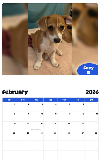November 2025 - October 2026 Suzy Q - Pawidols Pet Calendar
