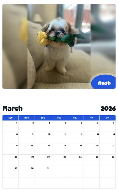November 2025 - October 2026 Nash - Pawidols Pet Calendar