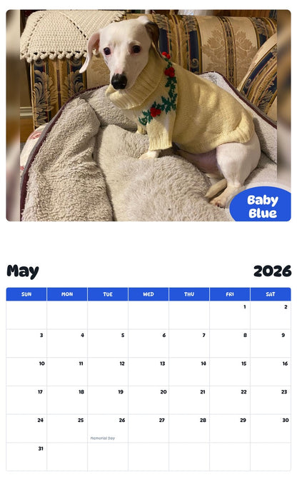 2026 - 2027 Baby Blue - Pawidols Pet Calendar