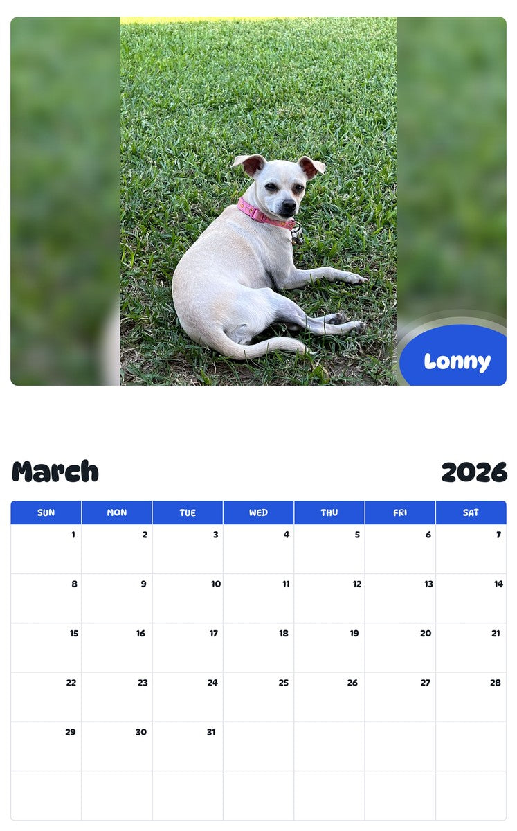 November 2025 - October 2026 Lonny - Pawidols Pet Calendar