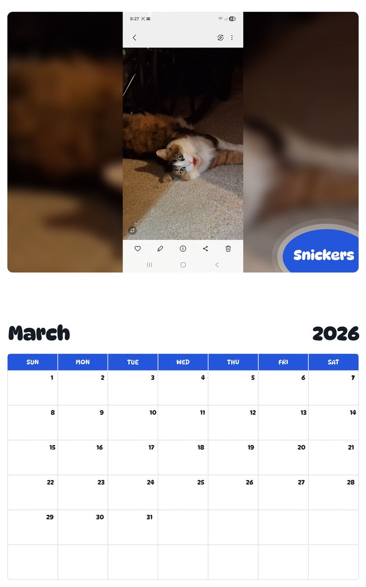 November 2025 - October 2026 Snickers - Pawidols Pet Calendar