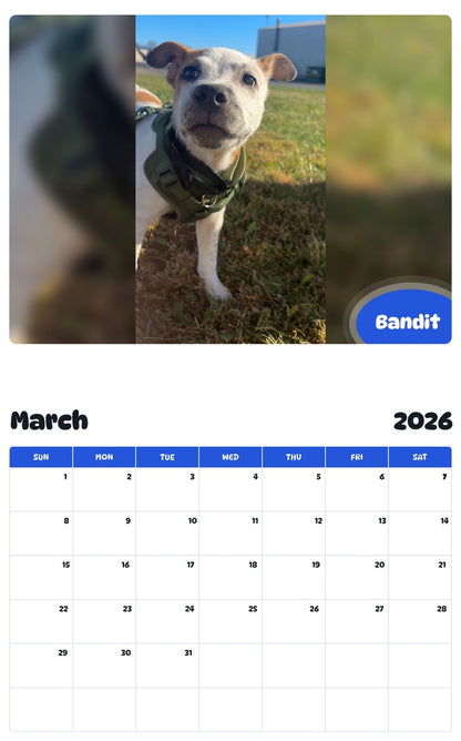 November 2025 - October 2026 Bandit - Pawidols Pet Calendar